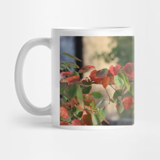 Colorful Fall Kansas Leave's Closeup Mug